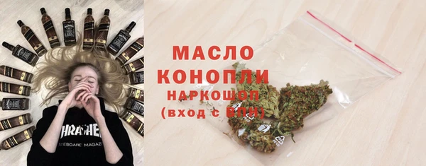 гашик Верея