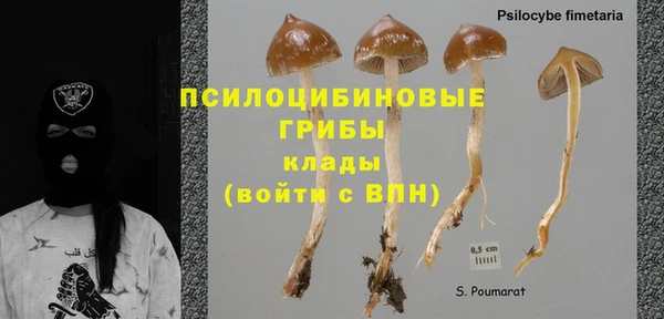 гашик Верея