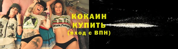гашик Верея