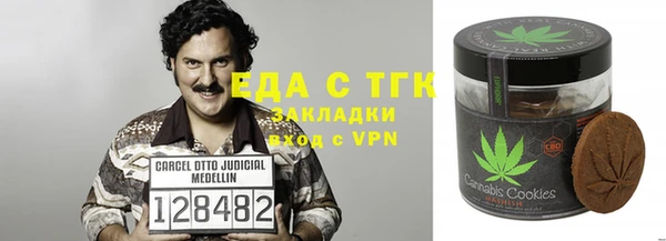 гашик Верея