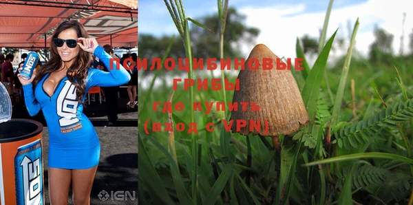 mdpv Верхний Тагил