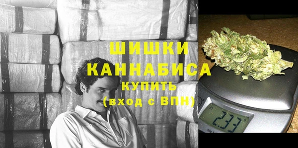гашик Верея