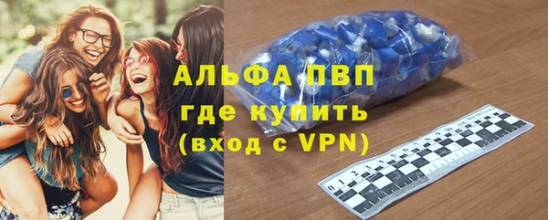 ECSTASY Богданович