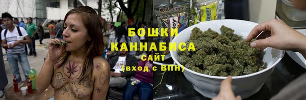 гашик Верея