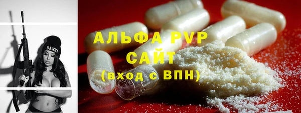 гашик Верея